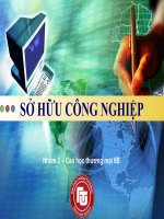 báo cáo tiểu luận môn sở hữu trí tuệ sở hữu công nghiệp