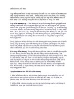 chấn thương thể thao