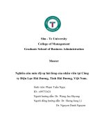 ĐỀ TÀI: Nghiên cứu mức độ sự hài lòng của nhân viên tại Công ty Điện Lực Hải Dương, Tỉnh Hải Dương, Việt Nam