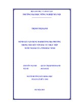 Đánh giá vận dụng marketinh địa phương trong thu hút vốn đầu tư trực tiếp nước ngoài của tỉnh bắc ninh