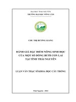 Đánh giá đặc điểm nông sinh học của một số dòng bưởi con lai tại tỉnh thái nguyên