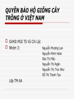 báo cáo tiểu luận môn sở hữu trí tuệ quyền bảo hộ giống cây trồng ở việt nam