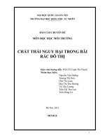 BÁO CÁO CHUYÊN ĐỀ MÔN ĐỘC HỌC MÔI TRƯỜNG CHẤT THẢI NGUY HẠI TRONG BÃI RÁC ĐÔ THỊ