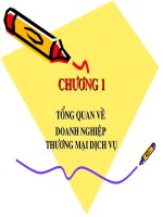 giáo trình kế toán thương mại, dịch vụ, du lịch (đại học kinh tế đà nẵng 2009)