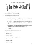 kinh tế vi mô - thị trường độc quyền hoàn toàn - tập đoàn điện lực việt nam