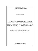 xác định đồng thời paracetamol, cafein và phenobarbital trong thuốc thần kinh d3 bằng phường pháp quang phổ hấp thụ phân tử (uv - vis) và phương pháp sắc ký lỏng hiệu năng cao (hplc)