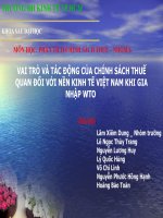 vài trò và tác động của chính sách thuế quan đối với nền kinh tế việt nam khi gia nhập wto