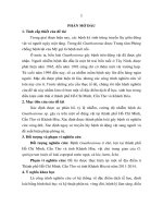 một số đặc điểm dịch tễ học, sinh học trong điều kiện sinh thái ở thành phố Hồ Chí Minh, Cần Thơ và Khánh Hòa.