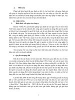 các hình thức góp vốn vào công ty, định giá vốn góp, chuyển quyền sở hữu tài sản vốn góp