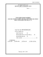 skkn giáo dục hướng nghiệp cho học sinh thông qua hoạt động ngoại khóa môn địa lý 12