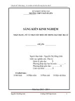 skkn nhận dạng ,vẽ và nhận xét biểu đồ trong dạy học địa lí