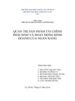 tiểu luận môn quản trị ngân hàng thương mại quản trị sản phẩm tài chính phái sinh và hoạt động kinh doanh của ngân hàng