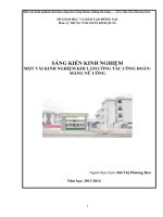 skkn một vài kinh nghiệm khi làm công tác công đoàn-mảng nữ công
