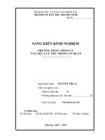 skkn phương pháp chỉnh lý tài liệu lưu trữ trong cơ quan