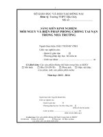 skkn mối nguy và biện pháp phòng chống tai nạn trong nhà trường