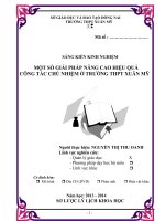 skkn một số giải pháp nâng cao hiệu quả công tác chủ nhiệm ở trường thpt xuân mỹ