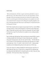 đề tài kế hoạch kinh doanh Công ty cổ phần SX-TM Thiên Long