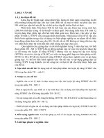 skkn sử dụng một số biện pháp nhằm rèn luyện kỹ năng hthkt cho hs trong dạy phần th – sinh 12.