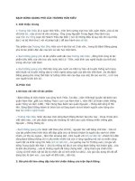 bạch đằng giang phú của trương hán siêu