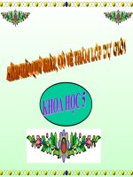 giáo án khoa học lớp 5 bài phòng tránh tai nạn giao thông đường bộ