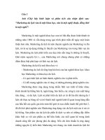 câu hỏi ôn tập  marketing du lịch