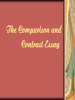 The Comparison and Contrast Essay