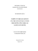 Luận văn: NGHIÊN CỨU HIỆU QUẢ KINH TẾ CỦA VIỆC SẢN XUẤT RAU AN TOÀN THEO HƯỚNG CÔNG NGHỆ CAO TẠI HTX XUÂN HƯƠNG