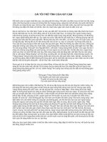 cái tôi trữ tình của huy cận