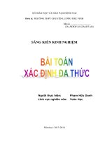 skkn phương trình chứa căn thức bài toán xác đinh đa thức thpt lương thế vinh