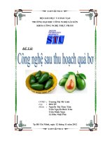 ĐỀ TÀI công nghệ sau thu hoạch quả bơ