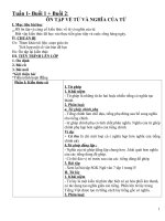 giáo án dạy thêm ngữ  văn lớp 8