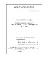skkn ứng dụng sơ đồ tư duy vào dạy học làm văn nghị luận  lớp 12 thpt chuyên lương thế vinh