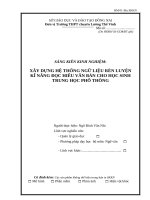 skkn xây dựng hệ thống ngữ liệu rèn luyện kĩ năng đọc hiểu văn bản cho học sinh trung học phổ thông