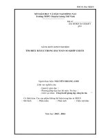 skkn tìm hiểu hàm z trong bài toán so khớp chuỗi