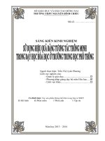 skkn sử dụng hiệu quả bảng tương tác thông minh trong dạy học hóa học ở trường thpt.