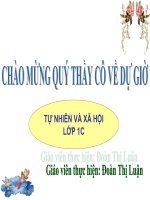 giáo án lớp 1 tự nhiên&xã hội con gà