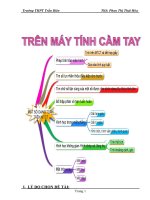 skkn 1   số bài toán trên máy tinh cầm tay thpt trần biên