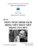 tiểu luận môn hành vi tổ chức phân tích chính sách động viên nhân viên trong tổ chức