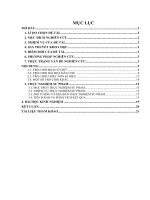 skkn nâng cao hiệu quả dạy – học giờ tự chọn hóa học bằng việc sử dụng các trò chơi