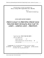 skkn phân loại và phương pháp giải nhanh một số dạng bài tập về amin – amino axit – protein