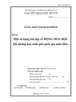 skkn một số dạng bài tập về động hóa học bồi dưỡng học sinh giỏi quốc gia môn hóa