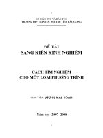 đề tài cách tìm nghiệm cho một loại phương trình