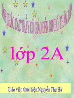 giáo án tự nhiên xã hội lớp 2 loài vật sống ở đâu