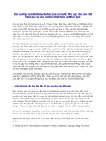 con đường hiện đại hoá văn học của các nước khu vực văn hoá chữ hán (qua tư liệu văn học việt nam và nhật bản)