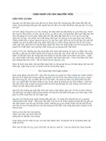 cảnh ngày hè của nguyễn trãi