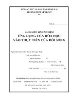 skkn ứng dụng của hóa học vào thực tiễn đời sống