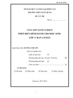 skkn phép biến hình dành cho học sinh lớp 11 ban cơ bản