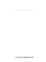 skkn nâng cao chất lượng môn ngữ văn ở trường dân tộc nội trú thpt tân phú