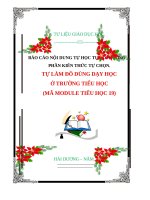 BÁO CÁO NỘI DUNG TỰ HỌC TỰ BỒI DƯỠNGPHẦN KIẾN THỨC TỰ CHỌN.TỰ LÀM ĐỒ DÙNG DẠY HỌC Ở TRƯỜNG TIỂU HỌC: Gồm 15 tiết (MÃ MODULE TIỂU HỌC 19).