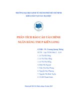 phân tích báo cáo tài chính ngân hàng tmcp kiên long